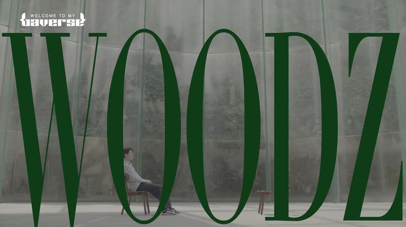 Welcome To My Baverse